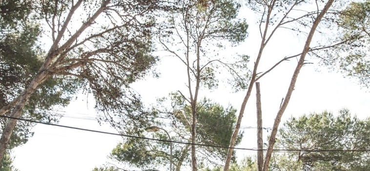 Photos Rise Up 2018 – 14