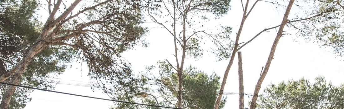 Photos Rise Up 2018 – 14