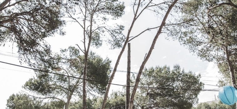 Photos Rise Up 2018 – 18