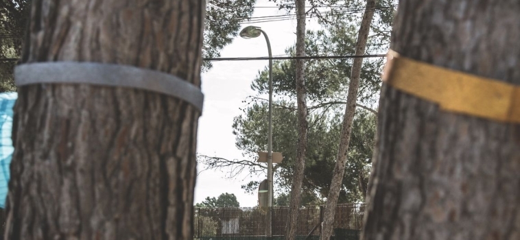 Photos Rise Up 2018 – 19