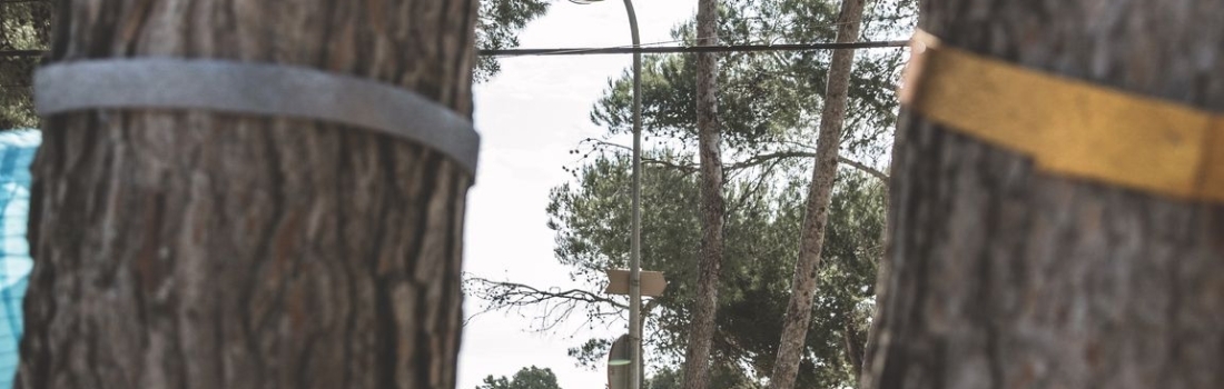 Photos Rise Up 2018 – 19