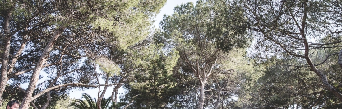 Photos Rise Up 2018 – 22