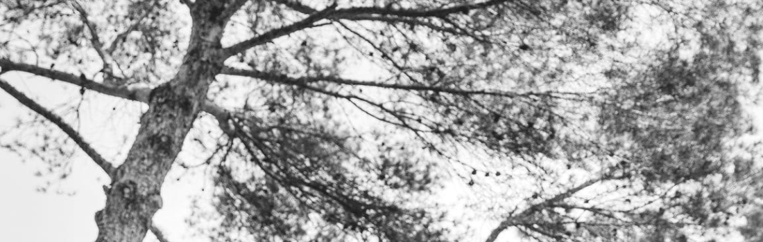 Photos Rise Up 2018 – 35