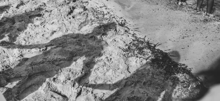 Photos Rise Up 2018 – 55