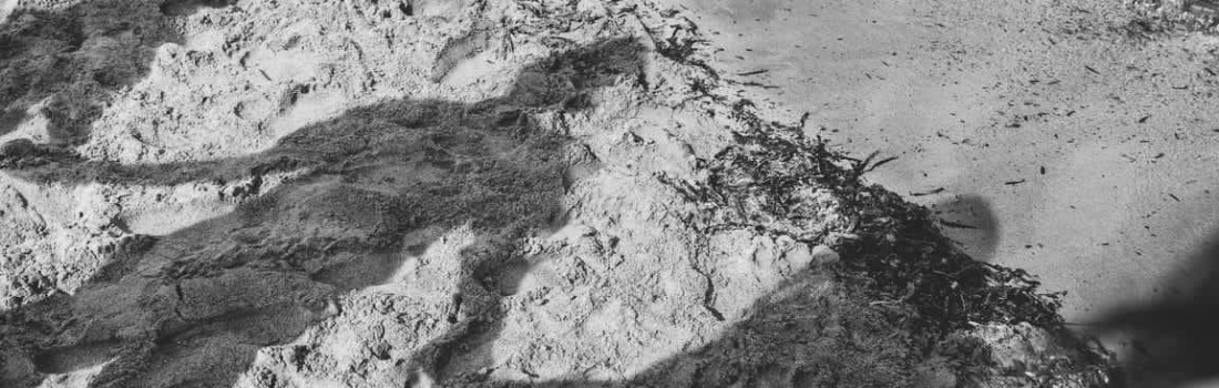 Photos Rise Up 2018 – 55