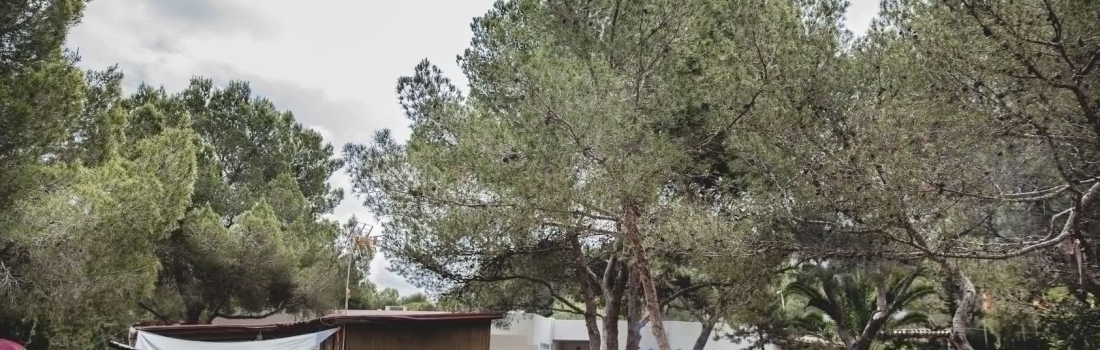 Photos Rise Up 2018 – 84