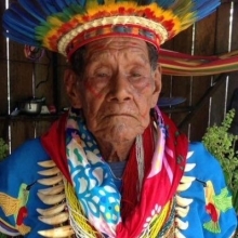 Taita Querubin